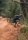 demo-attachment-1257-sidney-pearce-1109107-unsplash